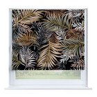 Закат в тропиках