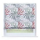 Летняя прохлада